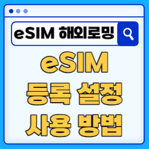 eSIM등록설정사용방법