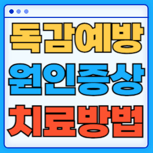 독감예방원인증상치료방법