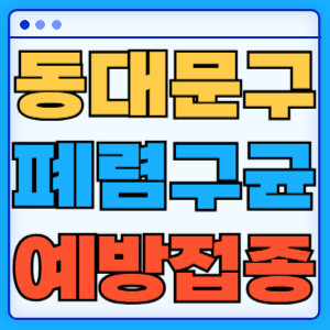 동대문구폐렴구균