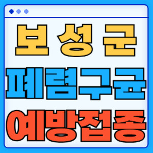 보성군 폐렴구균