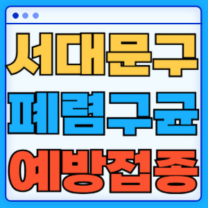 서대문구 폐렴구균 예방접종