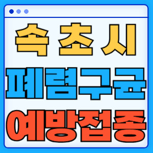 속초시 폐렴구균