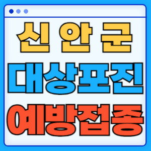 신안군대상포진
