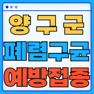 양구군 폐렴구균