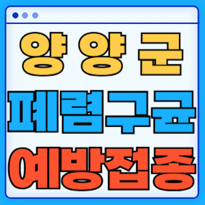 양양군 폐렴구균