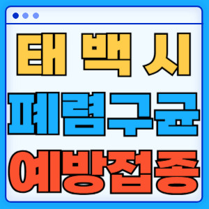 태백시 폐렴구균