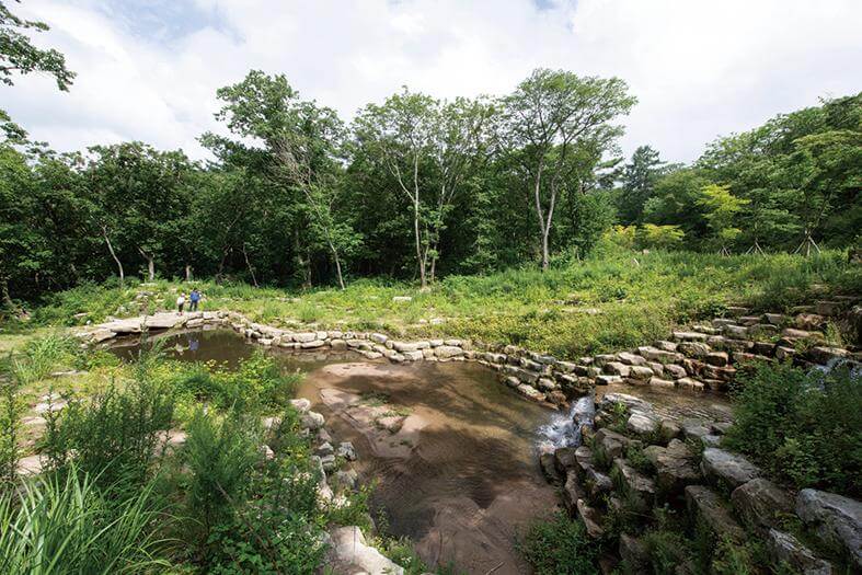 국립김천치유의숲