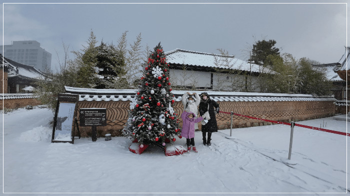 남해여행 크리스마스트리