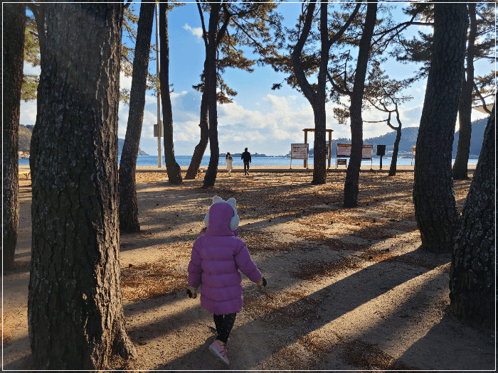 상주은모래비치 가는 길