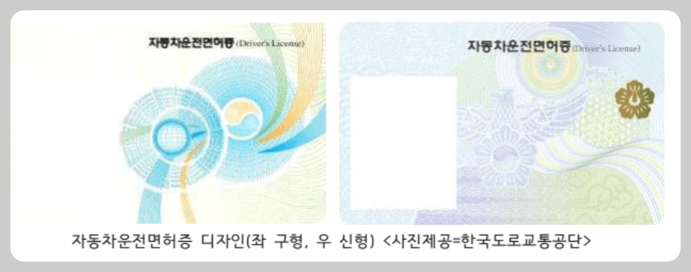운전면허증 디자인